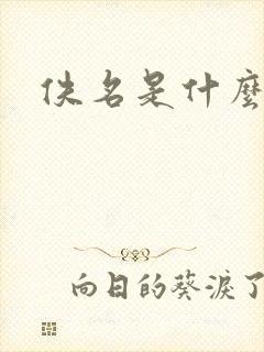 佚名是什么意思封面