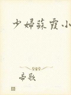 少妇苏霞小说