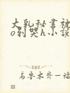 大乳秘书被cao到哭h小说