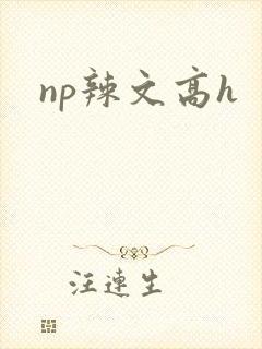 np辣文高h封面