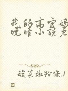 我的高官妈妈苏晚晴小说免费阅读封面