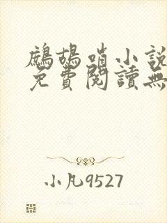 鹧鸪哨小说网站免费阅读无弹窗