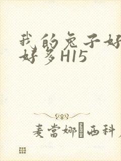 我的兔子好软水好多H15
