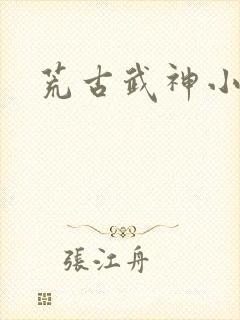 荒古武神小说