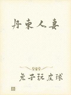 丹东人妻封面