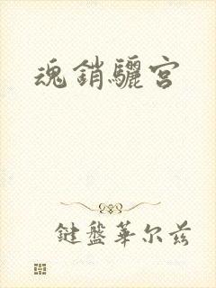 魂销骊宫封面