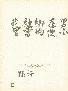 我被绑在男公厕里当肉便小说
