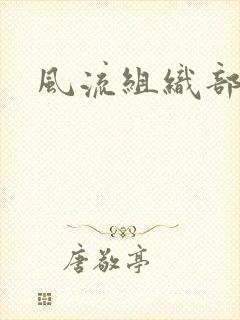 风流组织部长