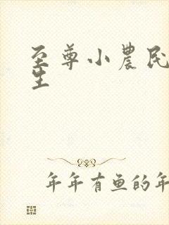 至尊小农民王木生
