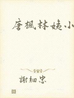 唐枫林姨小说封面