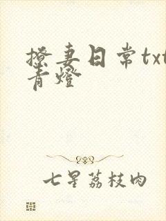 撩妻日常txt青灯封面