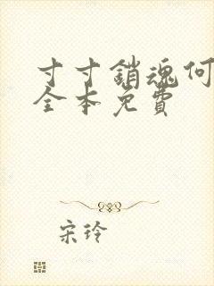 寸寸销魂何生祥全本免费封面