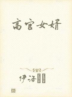 高官女婿
