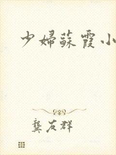 少妇苏霞小说