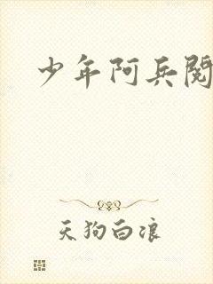 少年阿兵阅读封面