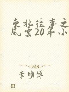 东北往事之黑道风云20年小说
