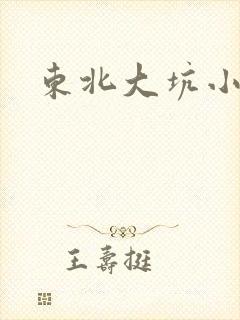 东北大坑小说封面
