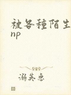 被各种陌生人 np封面