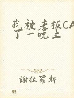 我被老板CAO了一晚上