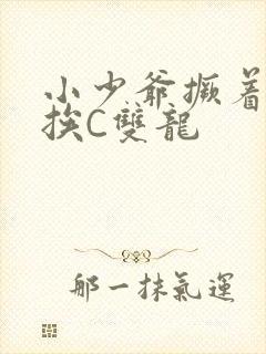 小少爷撅着屁股挨C双龙封面