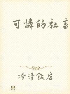可怜的社畜