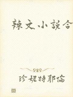 辣文小说合集