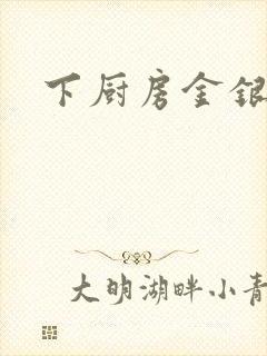 下厨房金银花露