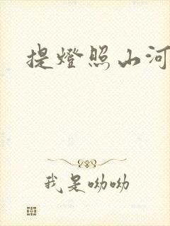 提灯照山河封面