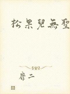 松果儿无圣光