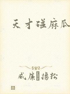 天才碰麻瓜封面