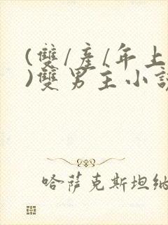 (双/产/年上)双男主小说