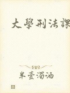 大学刑法课