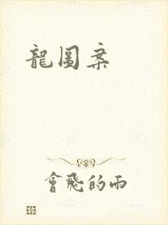 龙图案