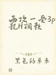两攻一受3p双龙H调教
