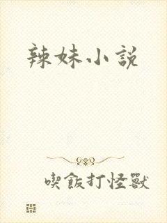 辣妹小说封面