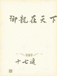 御龙在天下载