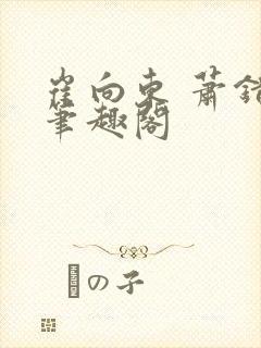 崔向东 萧错 笔趣阁