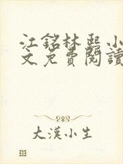 江铭林熙小说全文免费阅读