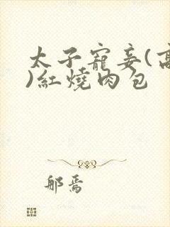 太子宠妾(高肉)红烧肉包封面