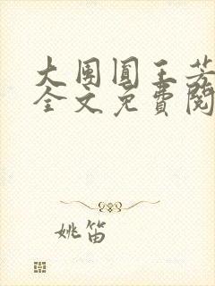 大团圆王芳高敏全文免费阅读封面