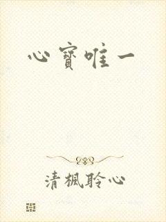 心宝唯一