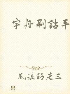 宇丹刷钻平台