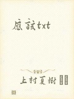 应该txt封面