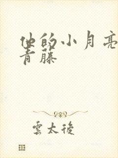 他的小月亮by青藤