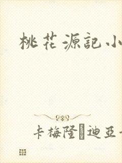 桃花源记小说