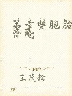 第章双胞胎姐妹齐飞