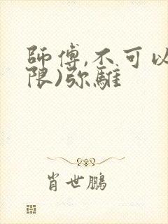 师傅,不可以(限)弥骓封面