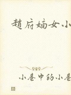 赵府嫡女小说