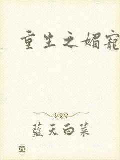 重生之媚宠系统