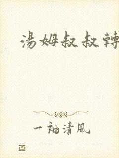 汤姆叔叔转接口